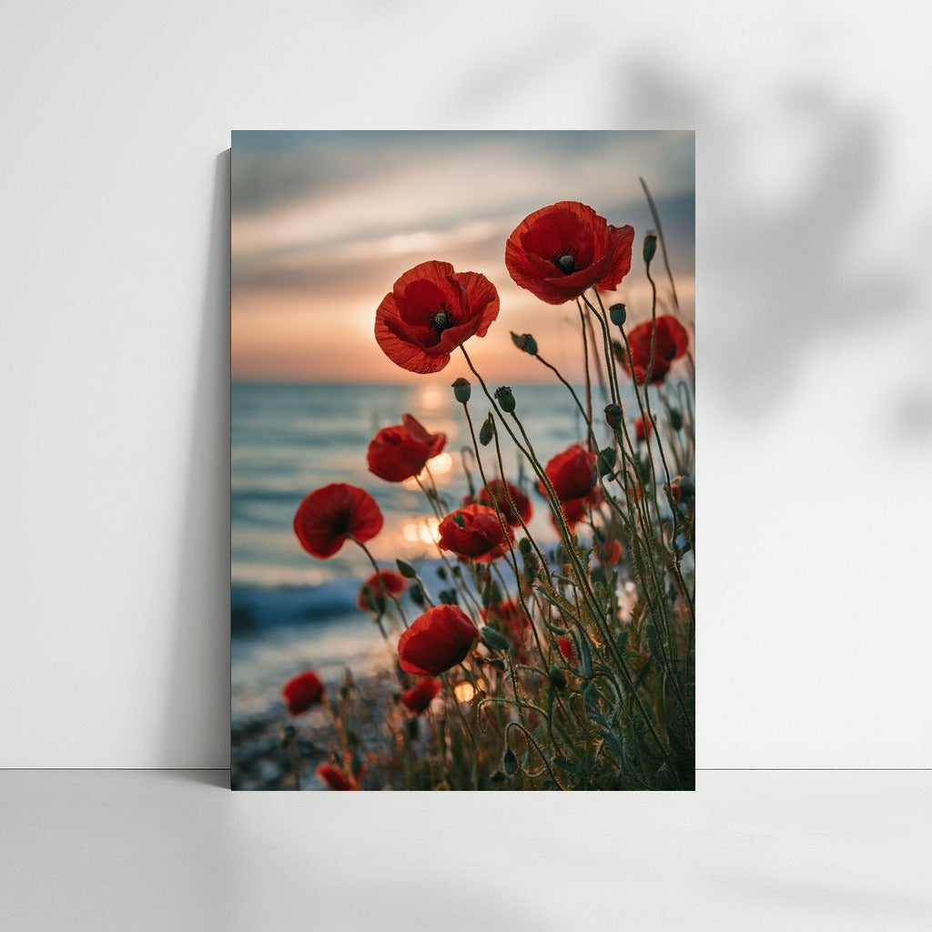 Sunset Poppy: Red Flower on Sea Background