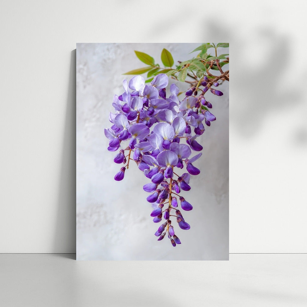 Flower Symphony: Delicate Lilac Wisteria