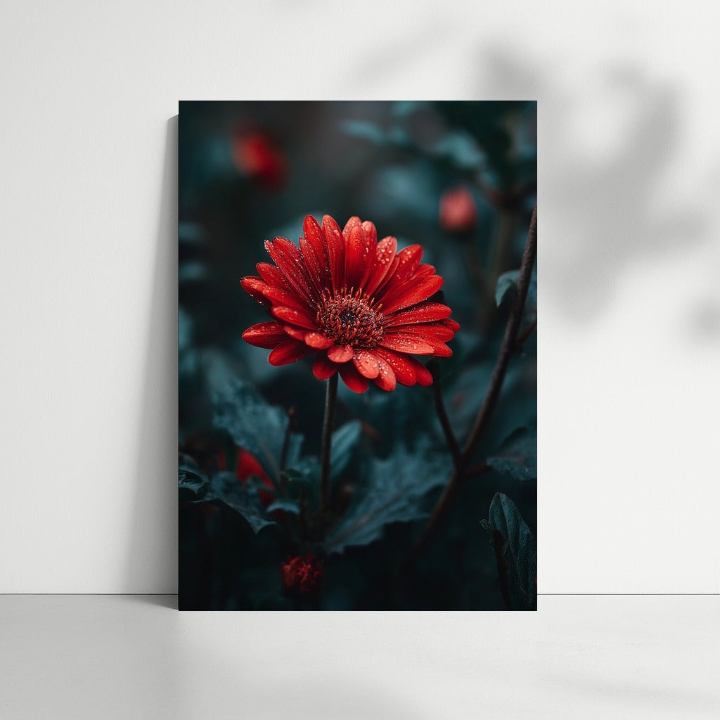 Red Gerbera: Elegance of Nature for the Interior