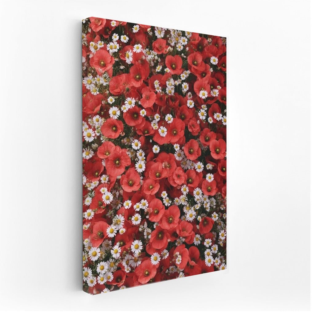 Field Charm: Poppies and Daisies for the Interior