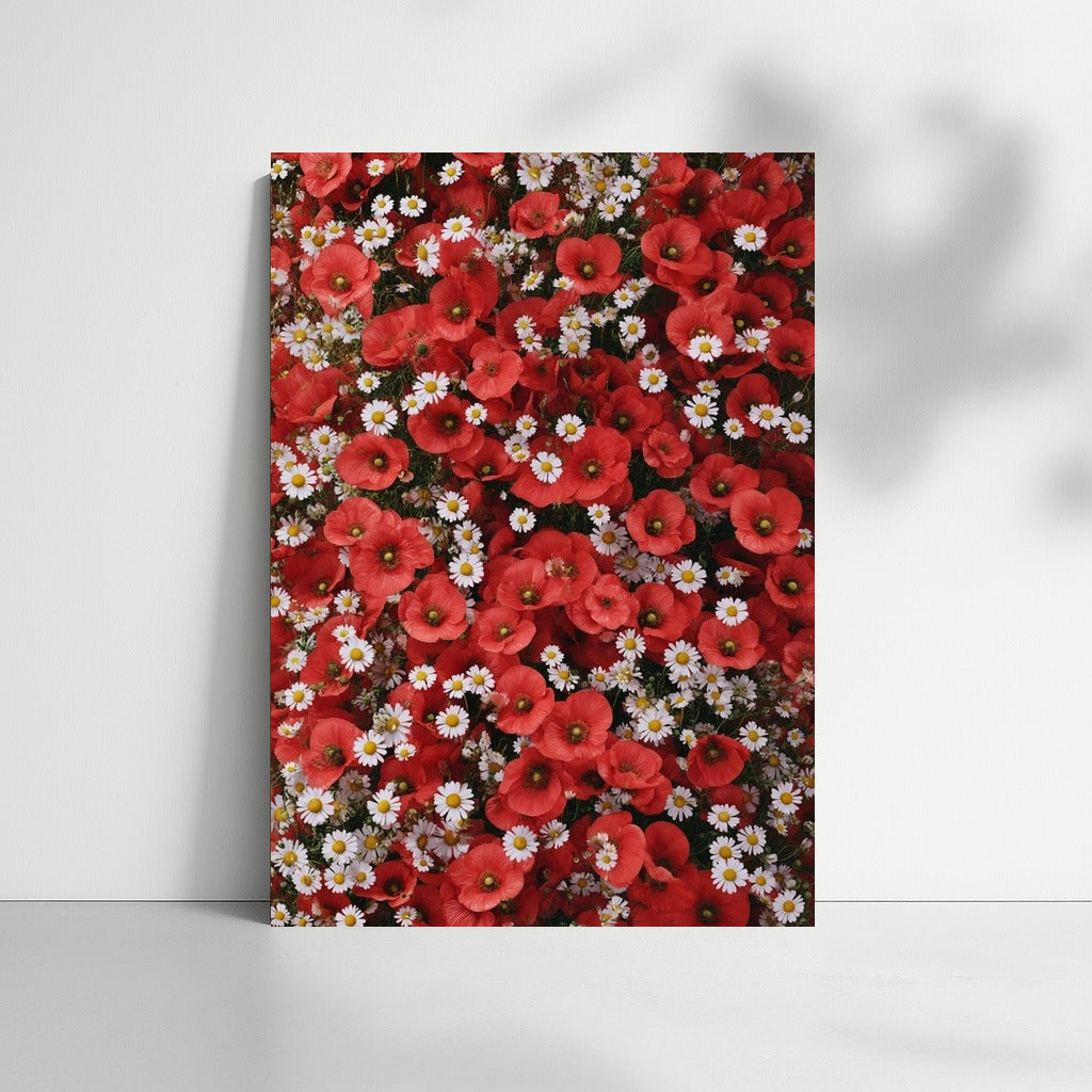 Field Charm: Poppies and Daisies for the Interior