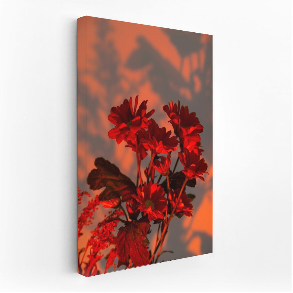 Floral Charm: Red Gerberas for Coziness and Warmth