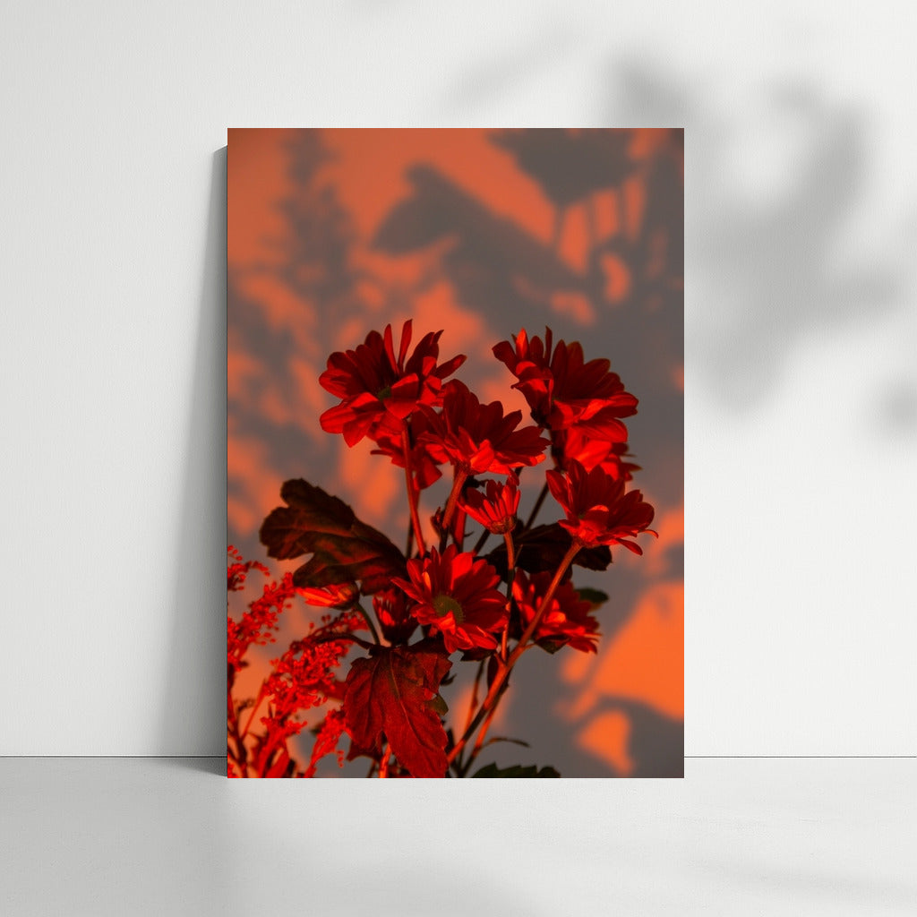 Floral Charm: Red Gerberas for Coziness and Warmth