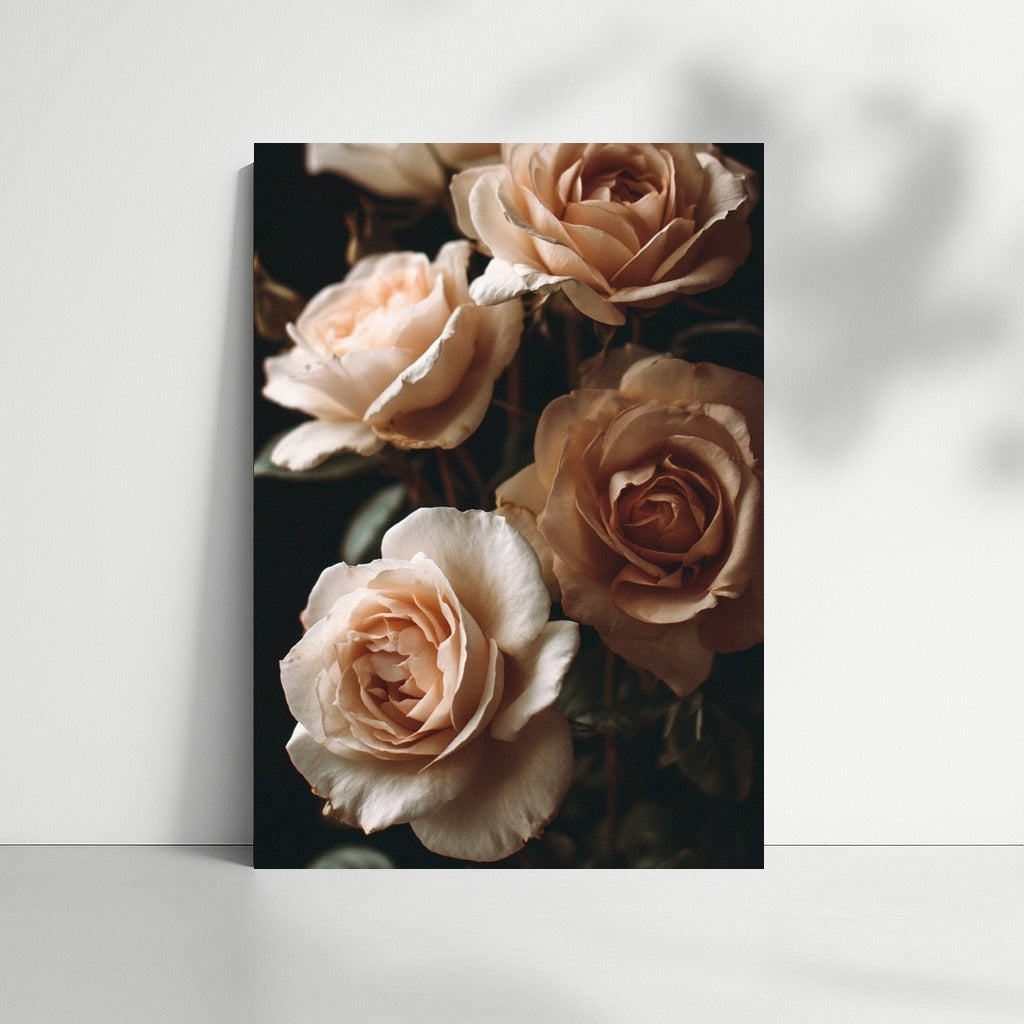 Delicate Roses: Romance of the Flower World