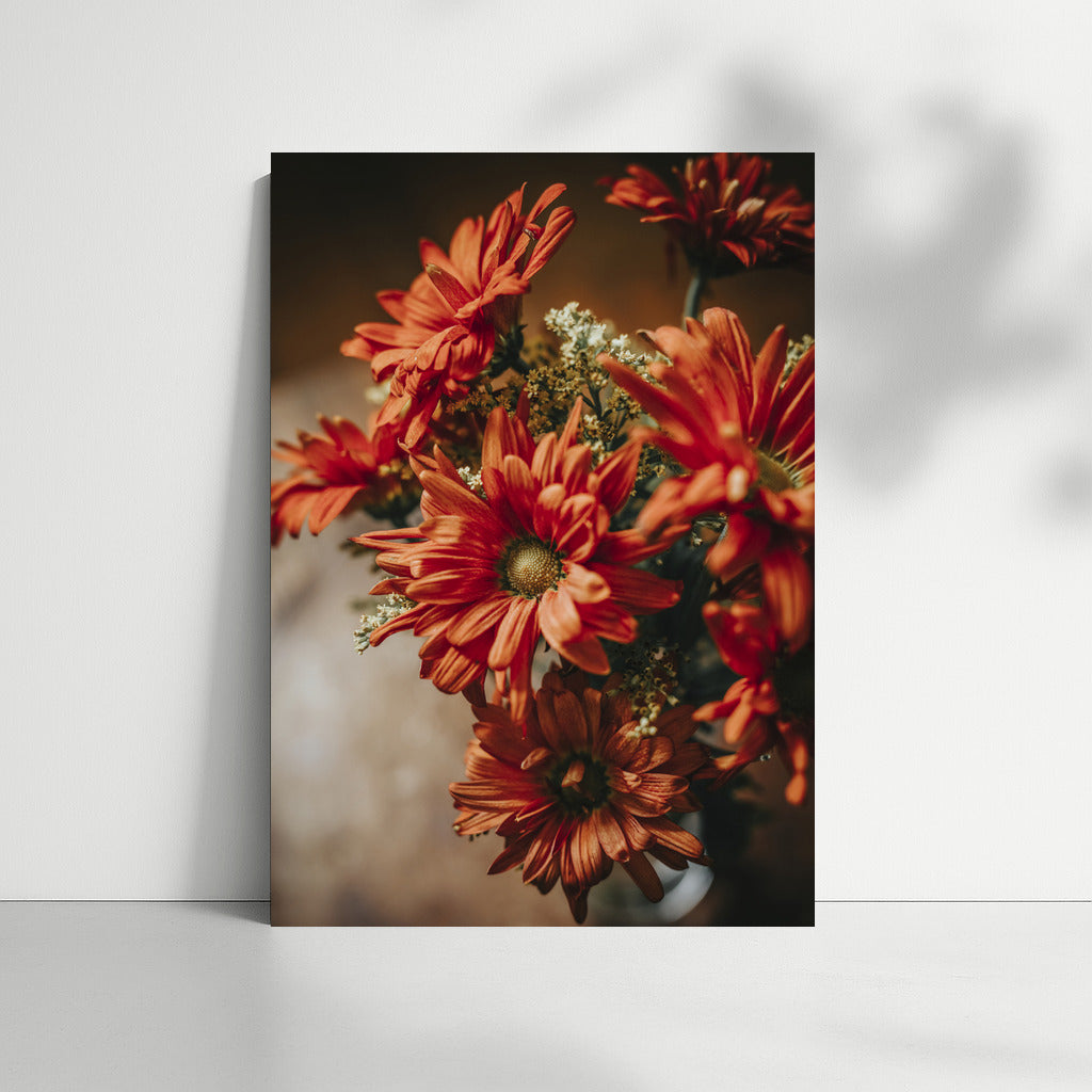 Orange Gerberas: Bright Flowers for Comfort and Freshness