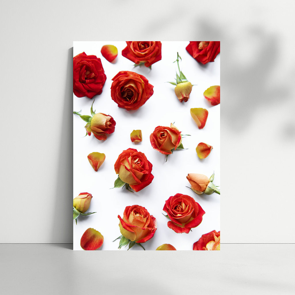 Scarlet Roses Grandiflora: Charm and Beauty in the Interior