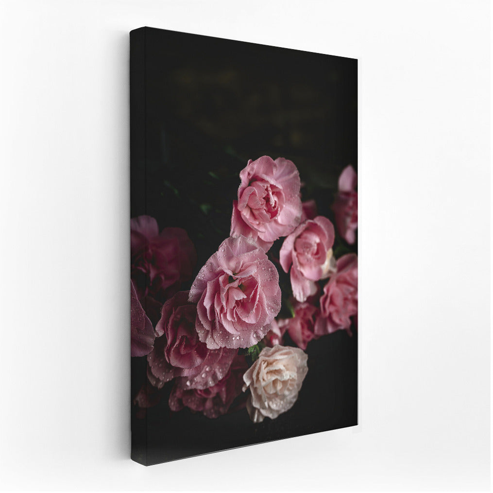 Lush Pink Carnations: The Delicateness of Floral Magic