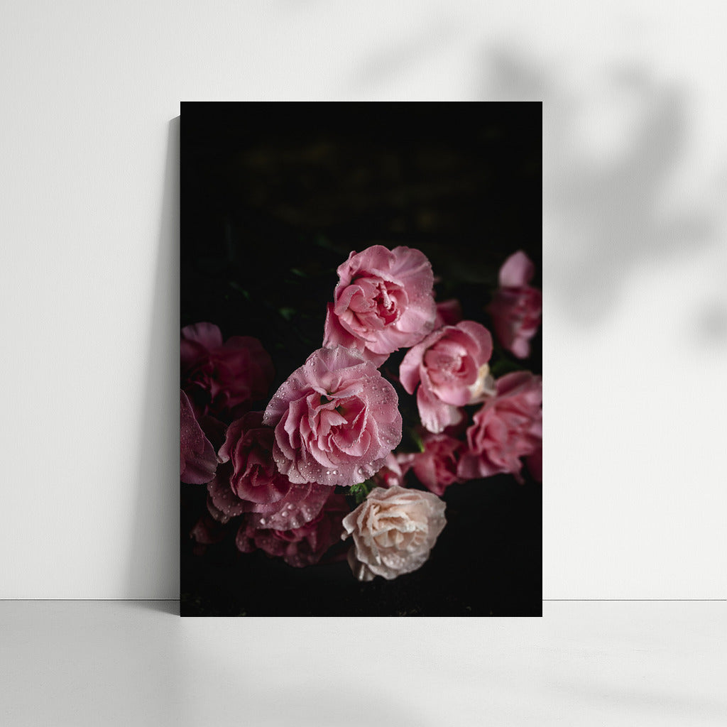 Lush Pink Carnations: The Delicateness of Floral Magic