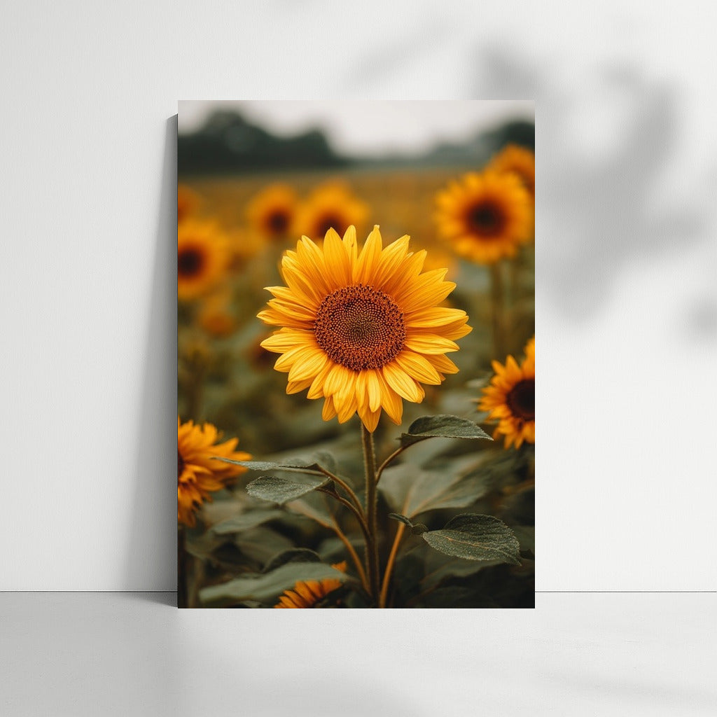 Sunny Sunflowers: Bright Floral Decor for Interior