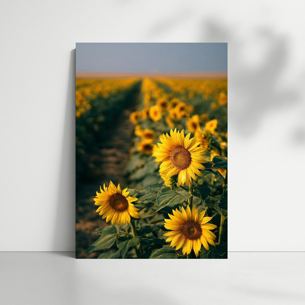 Sunny Sunflowers: Warmth and Harmony in the Interior