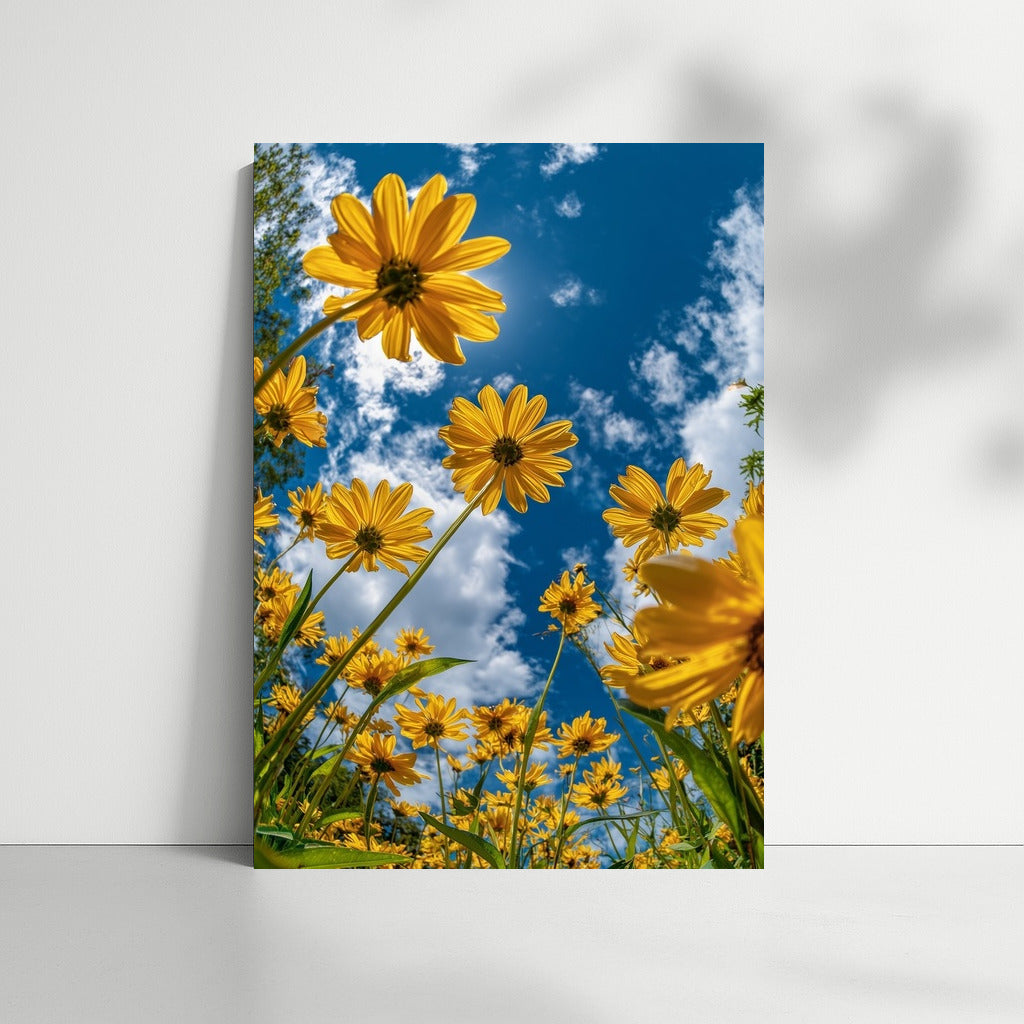Sunny Sunflowers: Summer Mood in Bright Sky