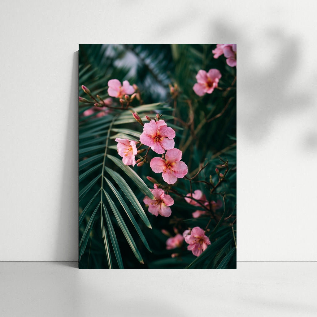 Delicate Pink Oleanders: Floral Harmony for the Interior