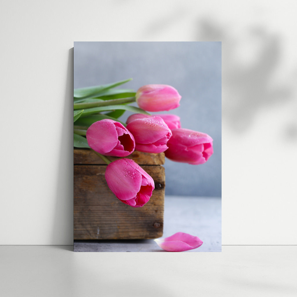 Delicate Pink Tulips on Grey Sky: Nature's Magic