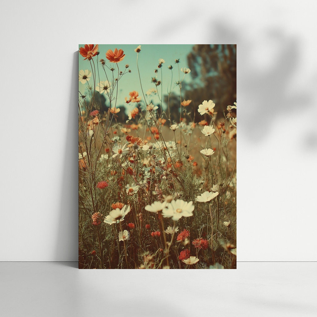 Cosmos Blooming: Lightness and Natural Freshness in the Interior