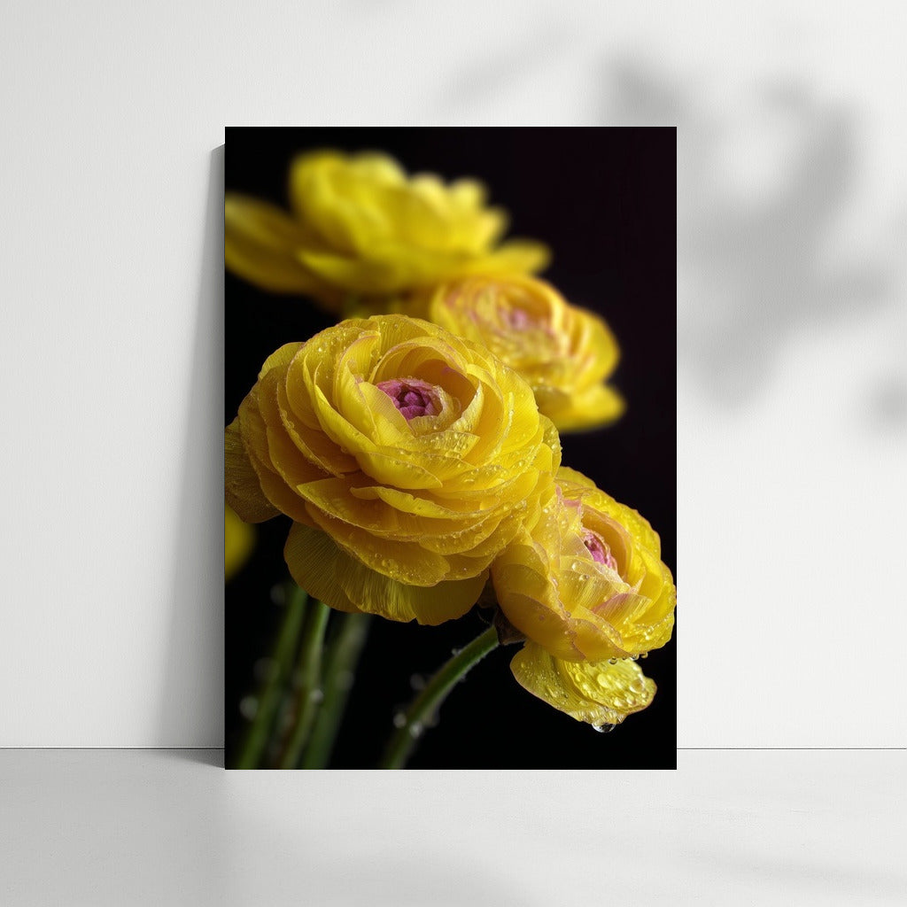 Sunny Ranunculus: Bright Yellow Flowers for the Interior