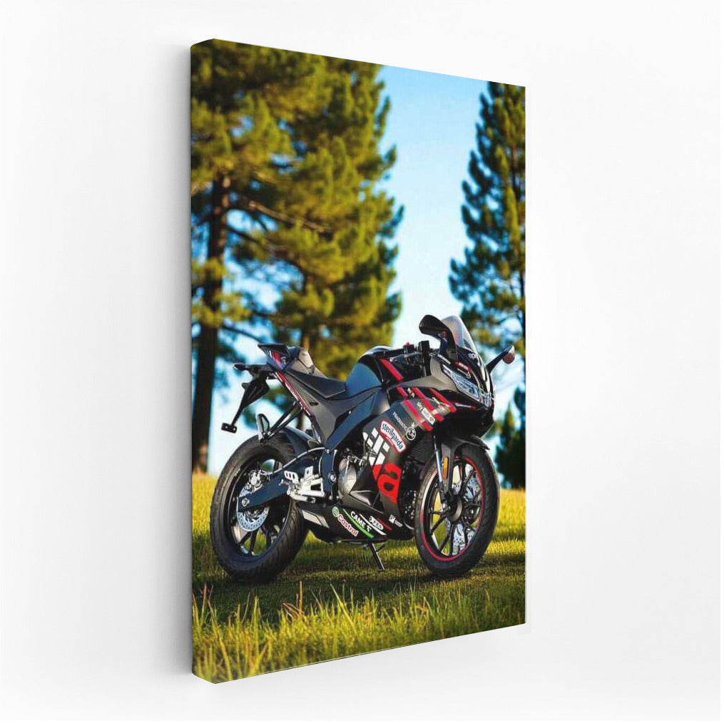 Aprilia RS 125: Freedom and Speed in the Sunny Forest Surface