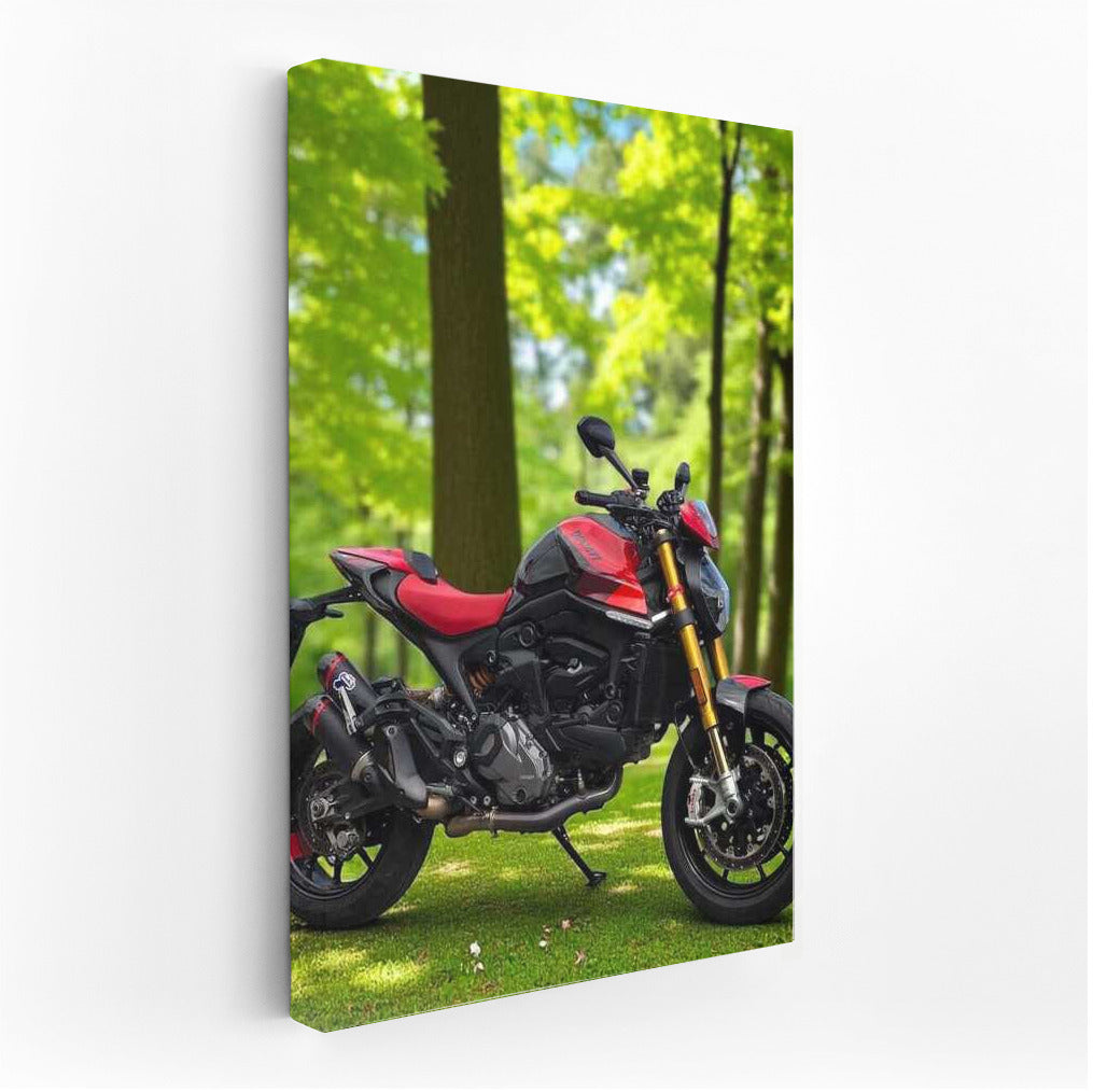 Ducati Monster SP: Freedom in the Forest Dali