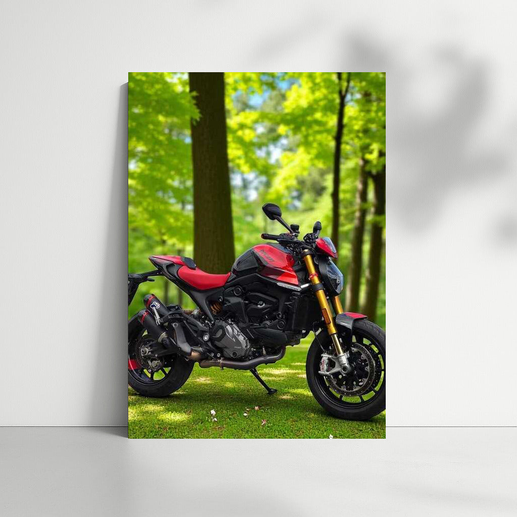 Ducati Monster SP: Freedom in the Forest Dali