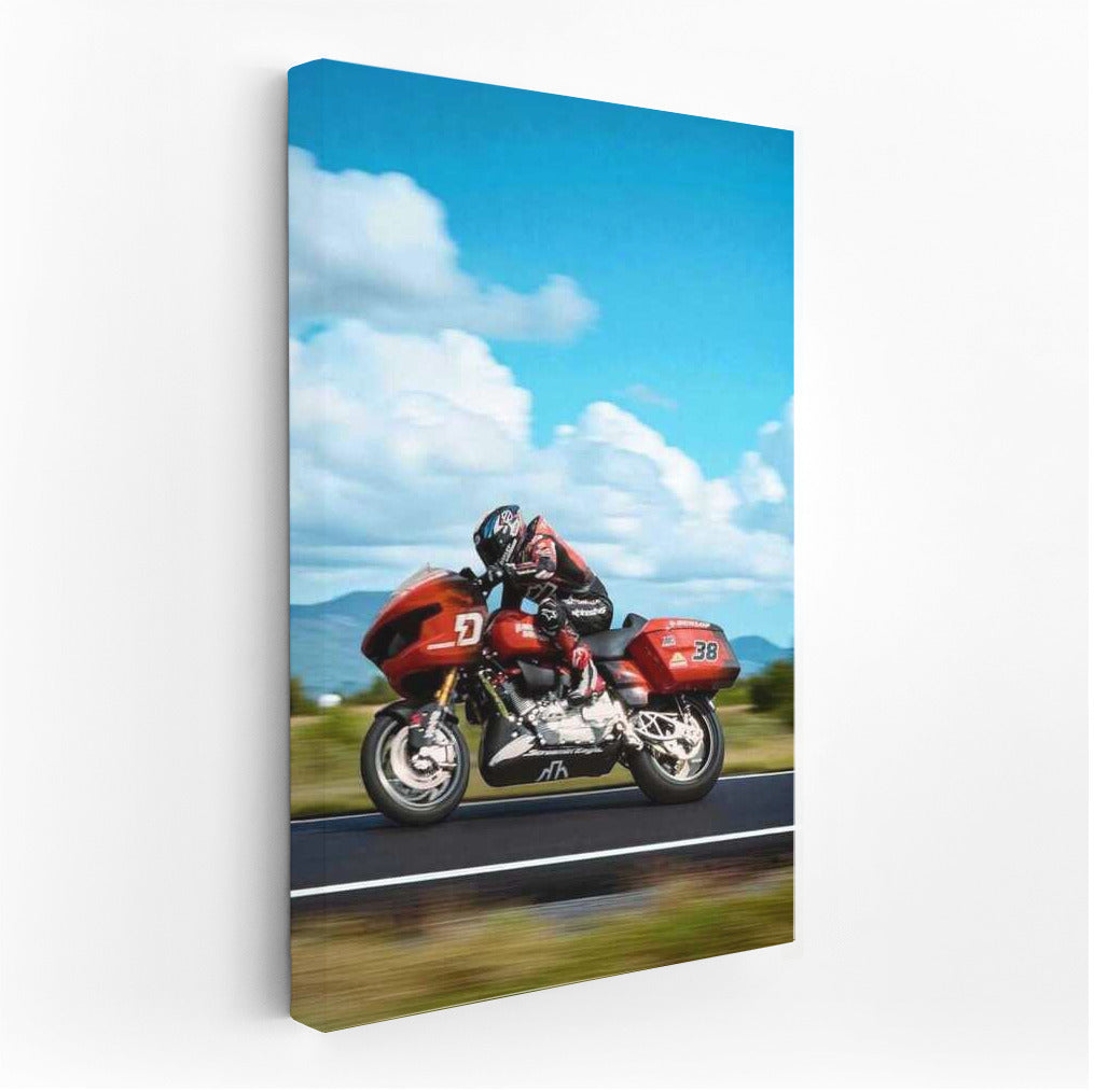 Freedom on the Highway: Harley Davidson Road Glide in Flight