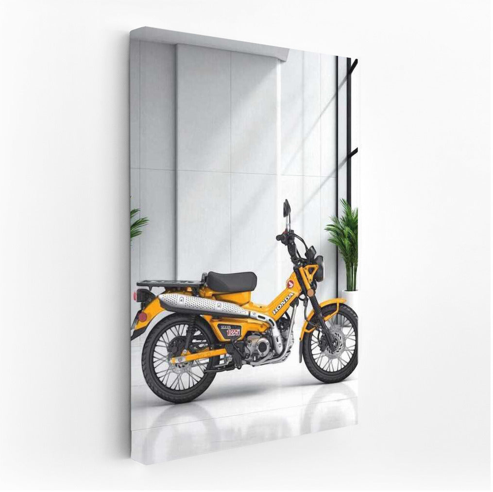 Freedom on the Honda Trail: The White Marble of Adventure