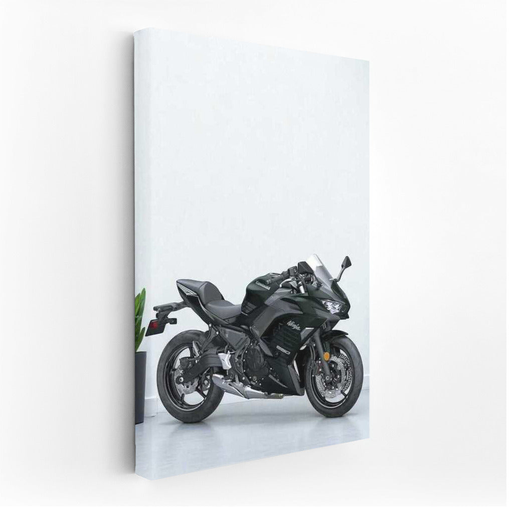 Kawasaki Ninja 650 ABS: The Spirit of Speed in the Parking Lot