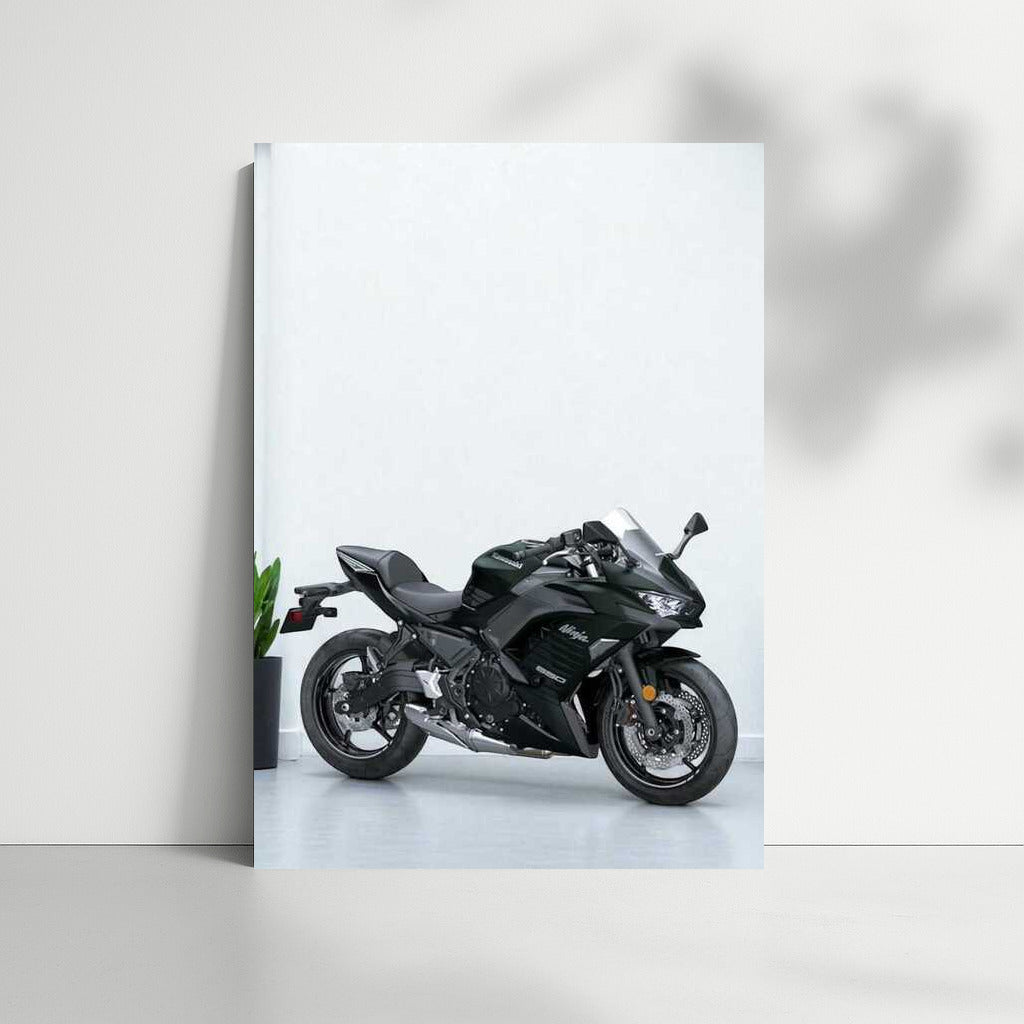 Kawasaki Ninja 650 ABS: The Spirit of Speed in the Parking Lot