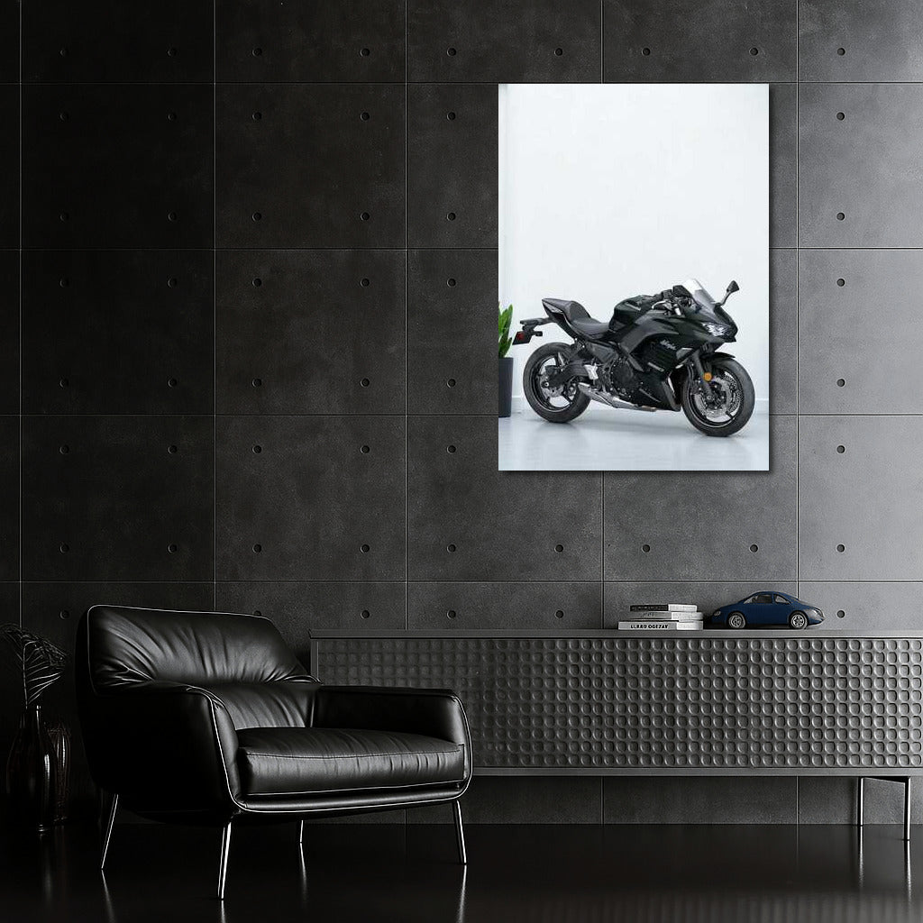 Kawasaki Ninja 650 ABS: The Spirit of Speed in the Parking Lot