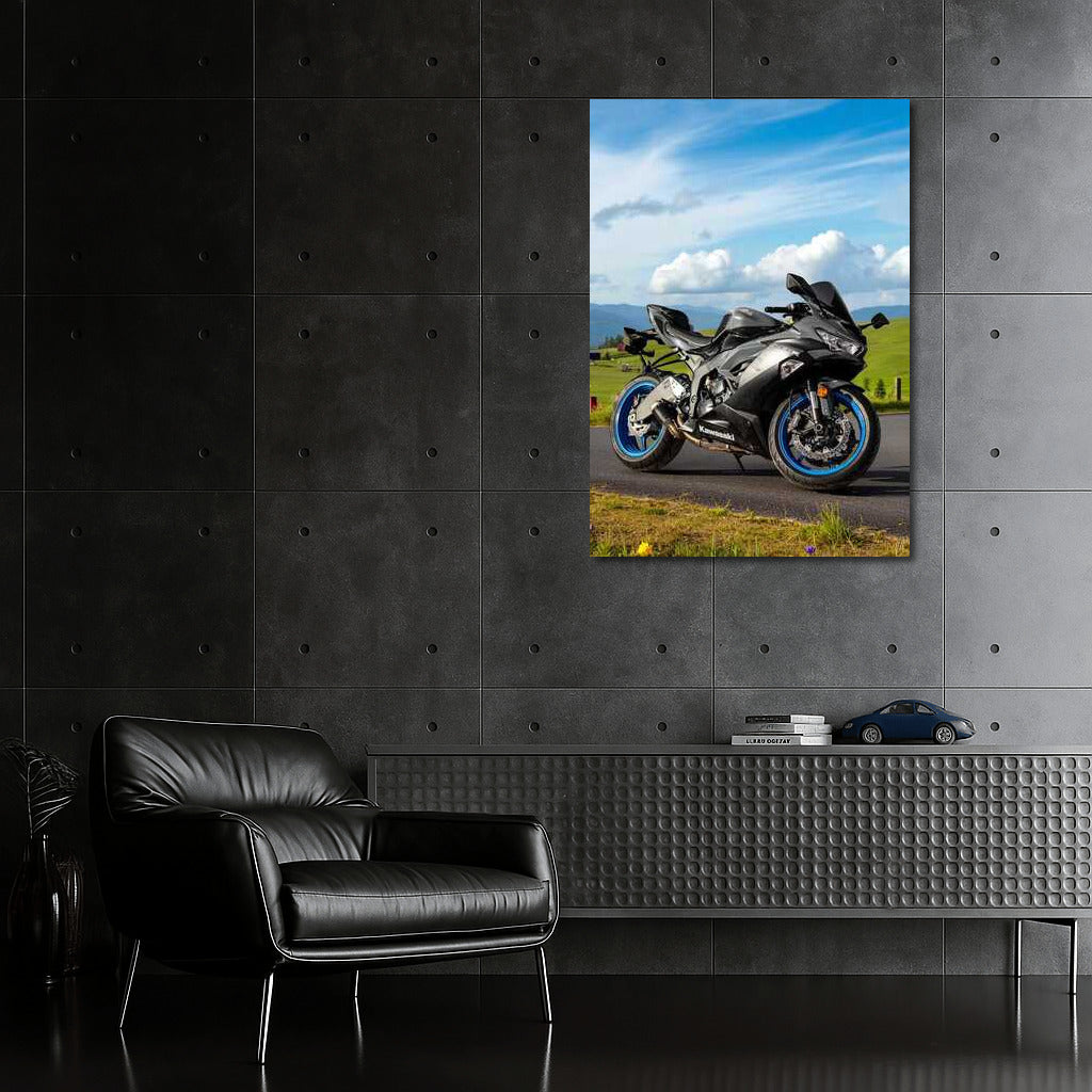 Kawasaki Ninja ZX 6R ABS KRT: Power on Asphalt and Idyll of Country Road