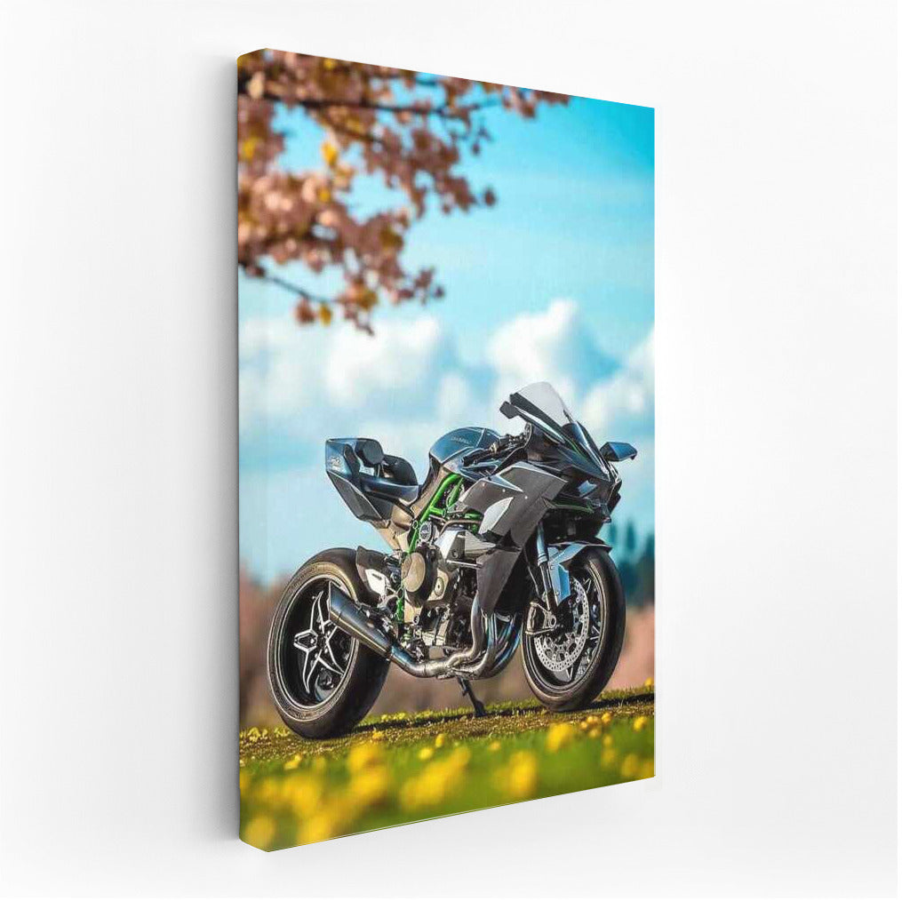 Spring Wind: Kawasaki Ninja H2R and Motorcycles