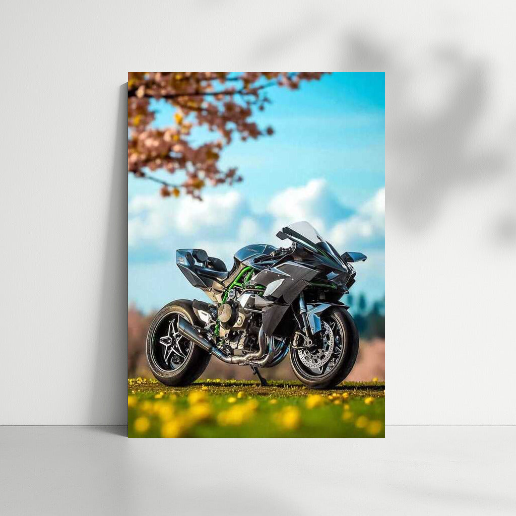 Spring Wind: Kawasaki Ninja H2R and Motorcycles
