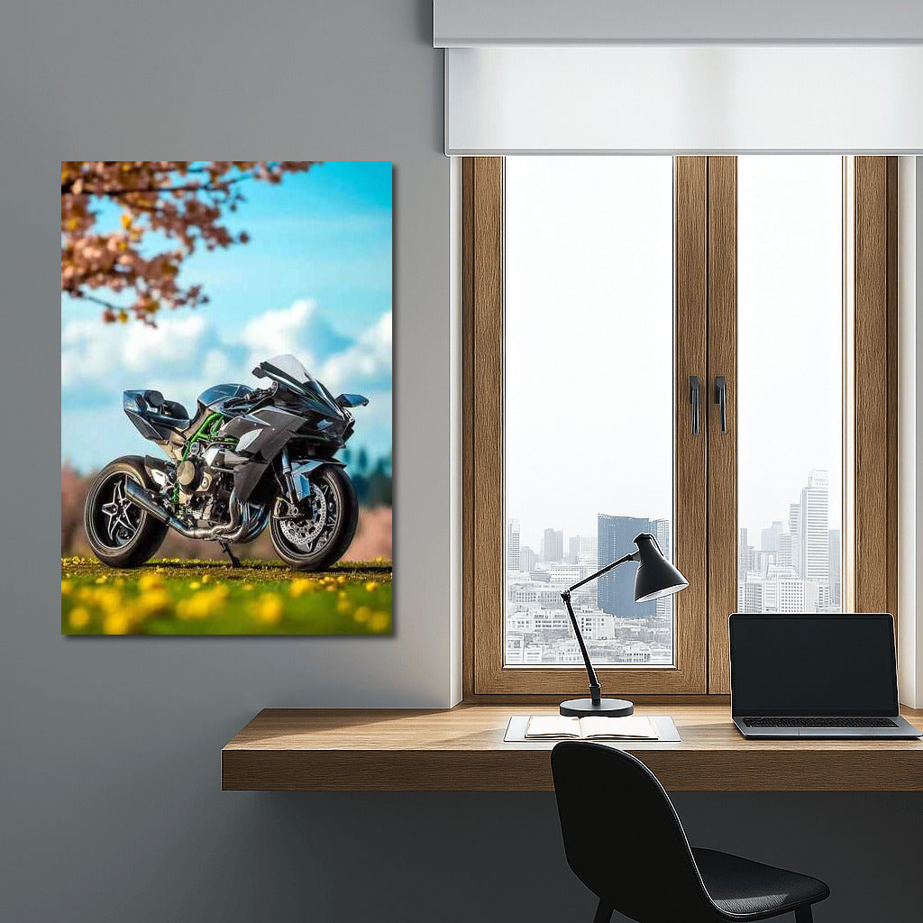 Spring Wind: Kawasaki Ninja H2R and Motorcycles