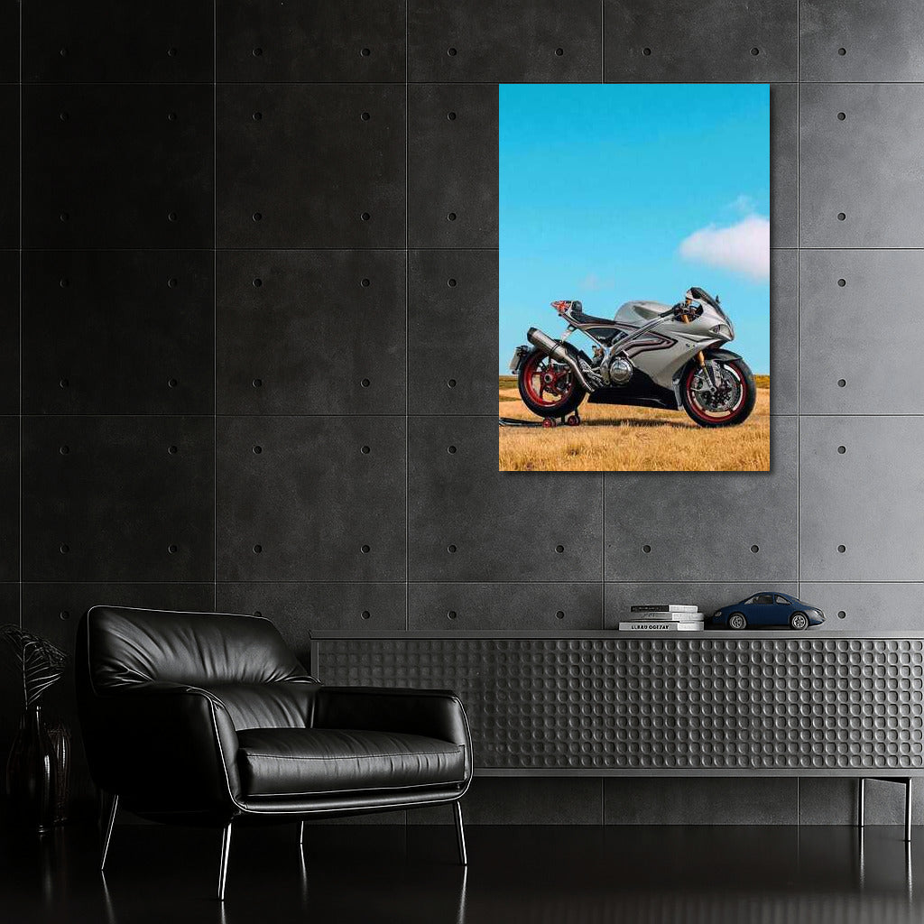 Norton V4SV: Freedom and Speed in Nature