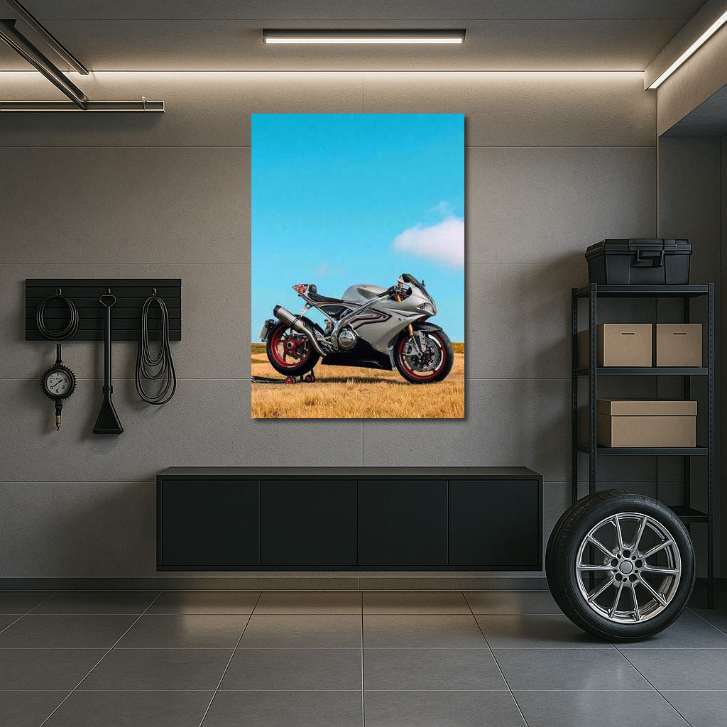 Norton V4SV: Freedom and Speed in Nature