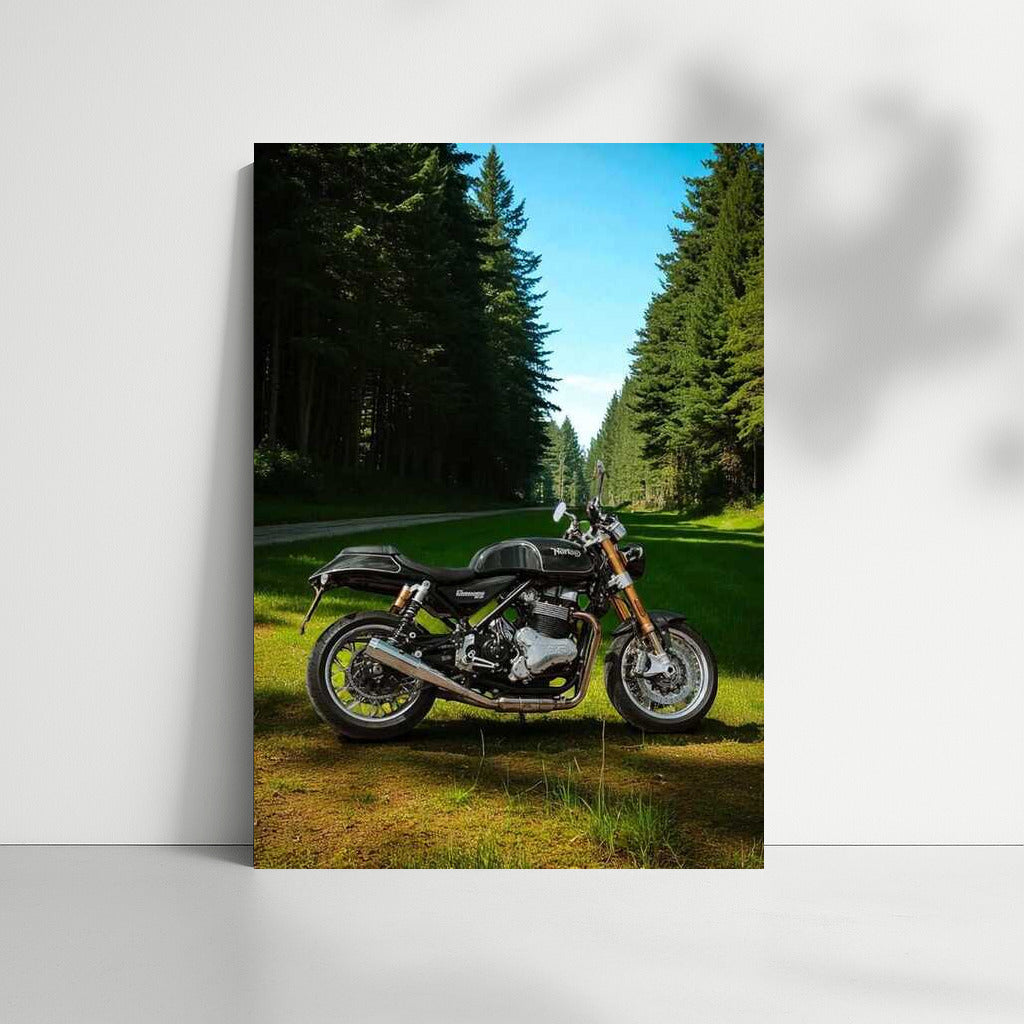 Norton Commando 961: Wind of Freedom on the Forest Path