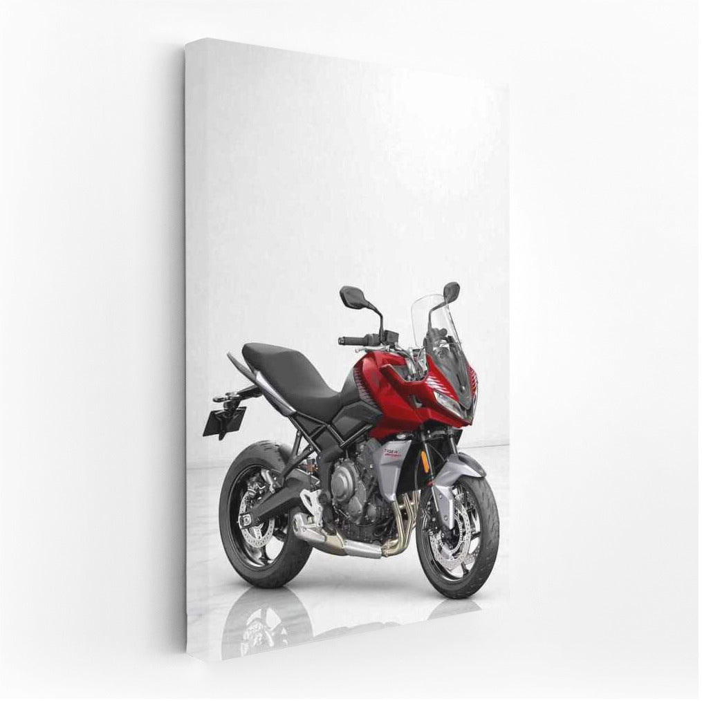 Triumph Tiger Sport 660 Aesthetics: Minimalism and Power