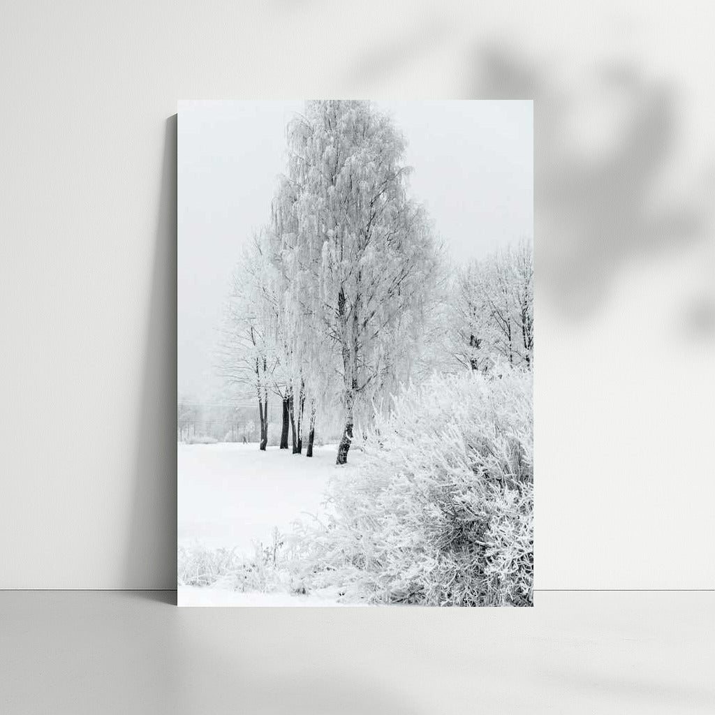 Crystal Winter: Silence of the Snowy Forest