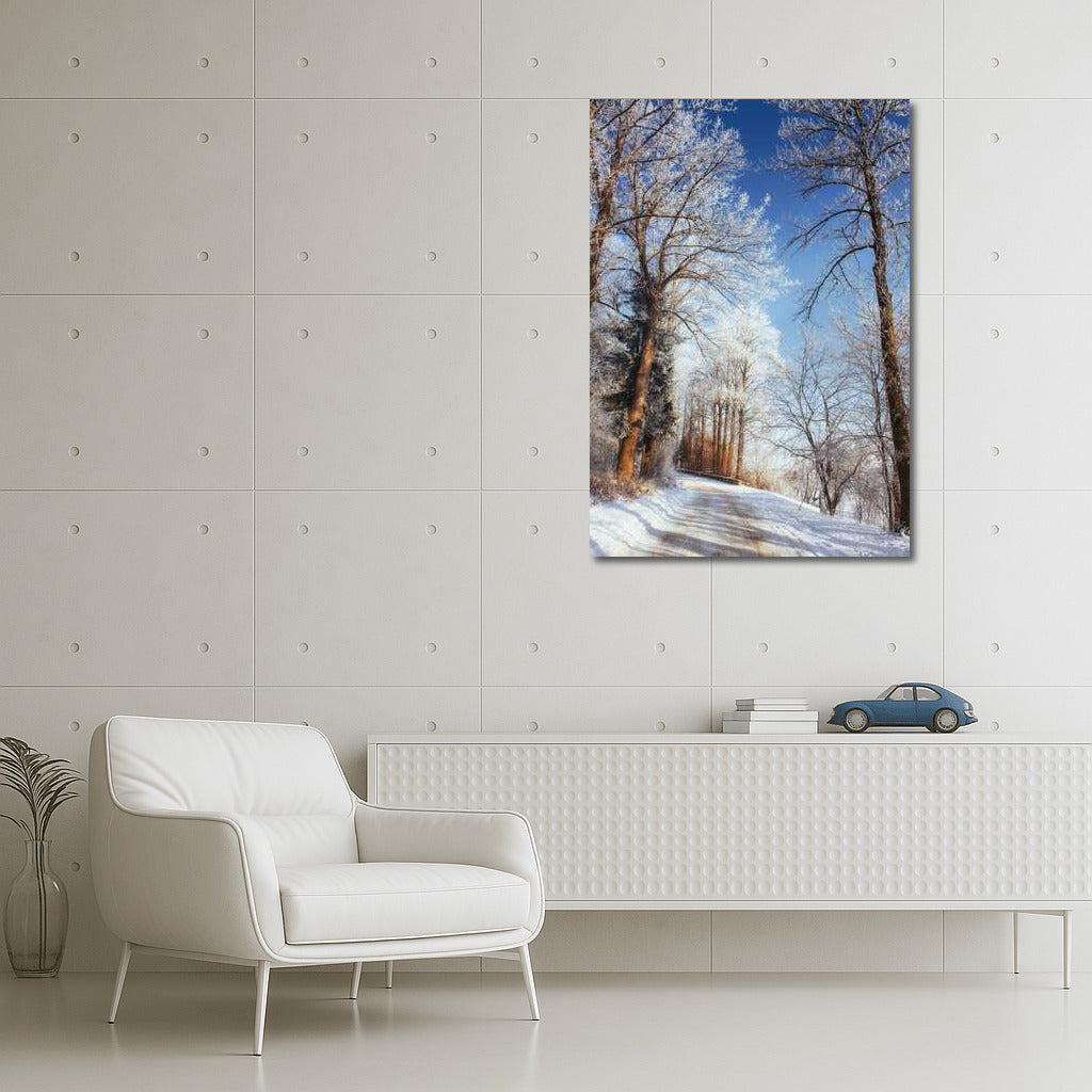 Winter Fairytale: Snowy Trees and Clear Skies
