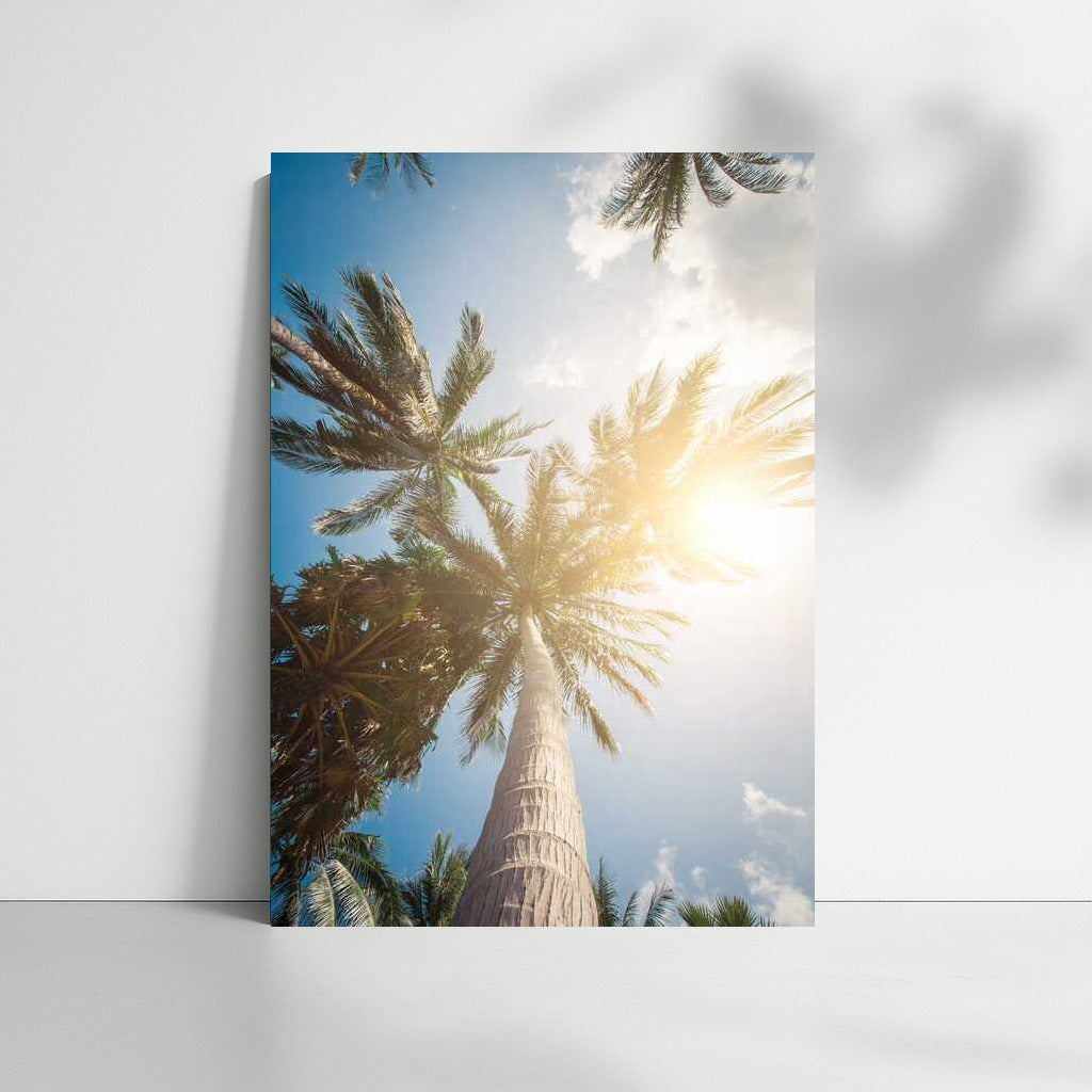 Summer View: Palm Trees Under a Summer Sky