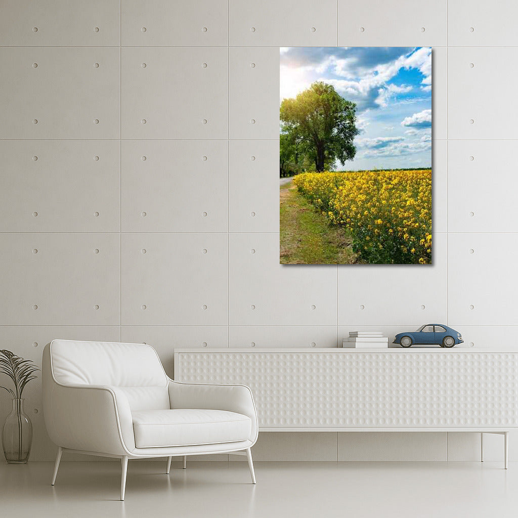 Summer Landscape: Bright Fields and Serene Skies