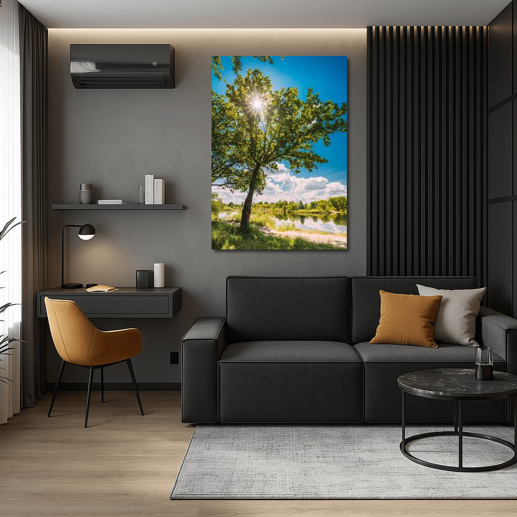 Summer Light: Sun Glare in a Natural Landscape