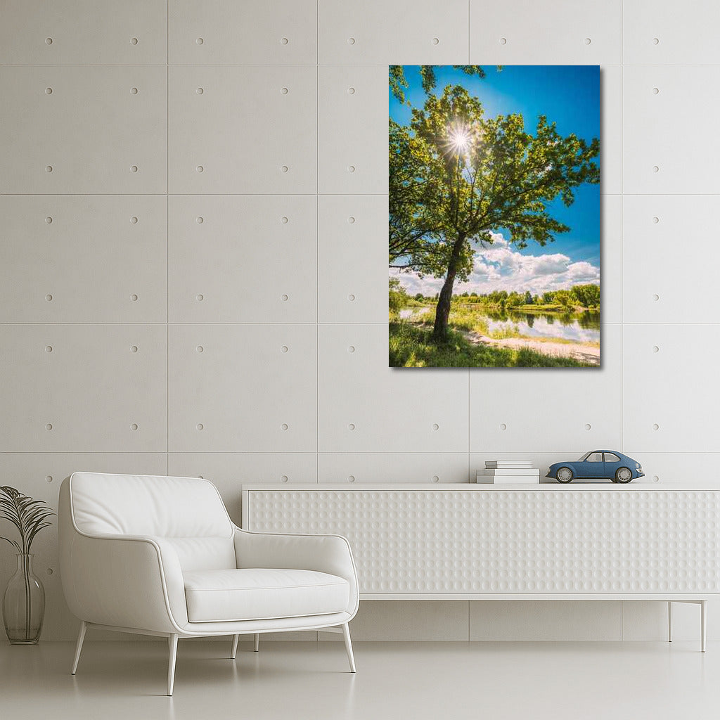 Summer Light: Sun Glare in a Natural Landscape