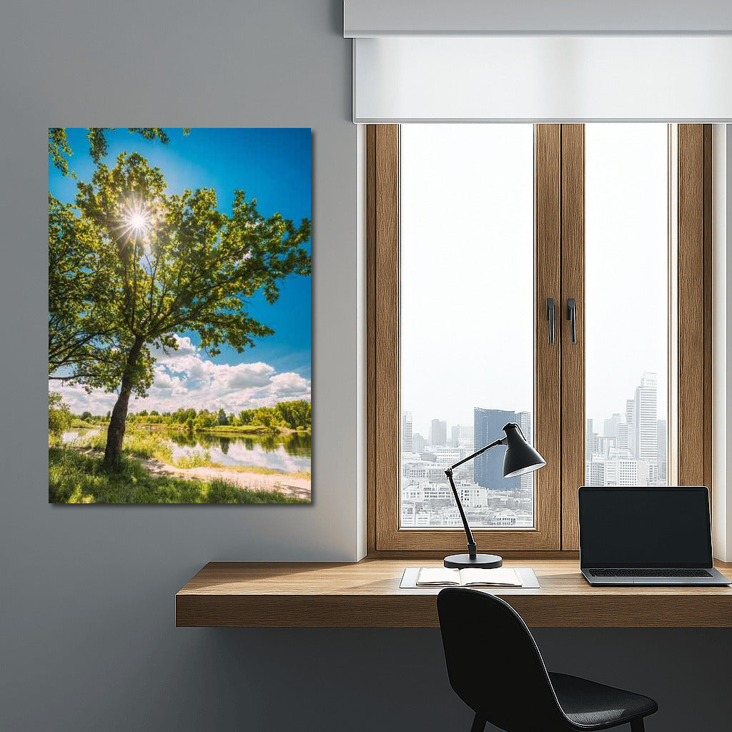 Summer Light: Sun Glare in a Natural Landscape