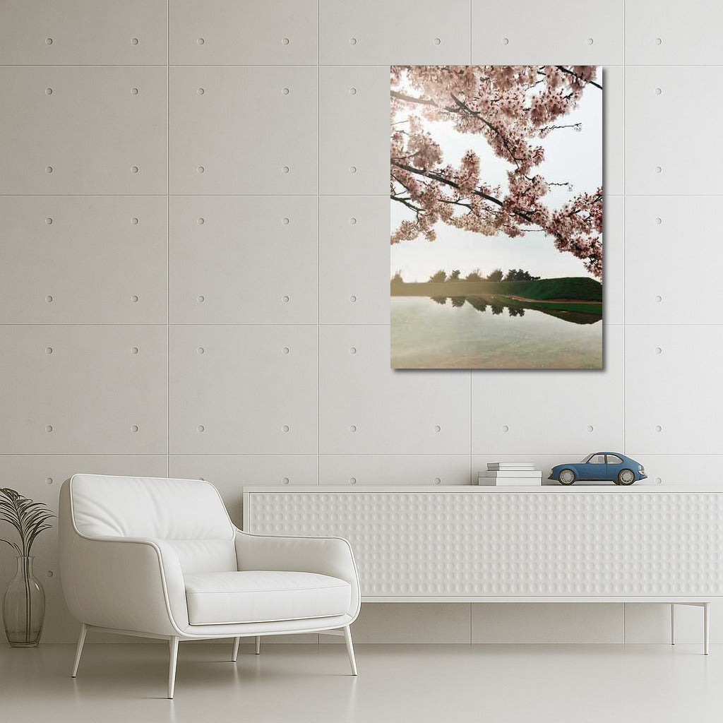 Spring Charm: Cherry Blossoms Over the Lake