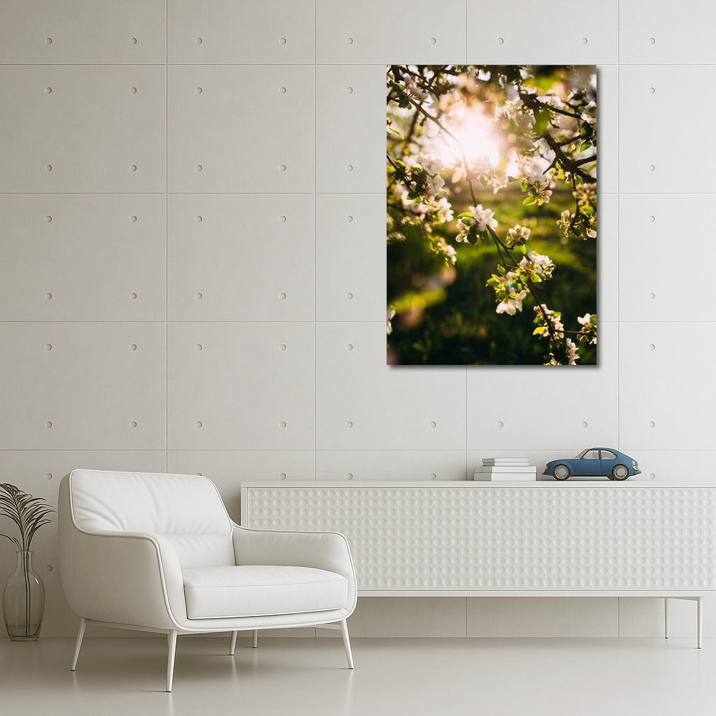 Spring Awakening: Flowers and Sun Rays in Landscape