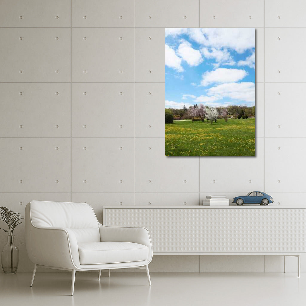 Spring Bloom: Awakening Nature in the Blue Sky