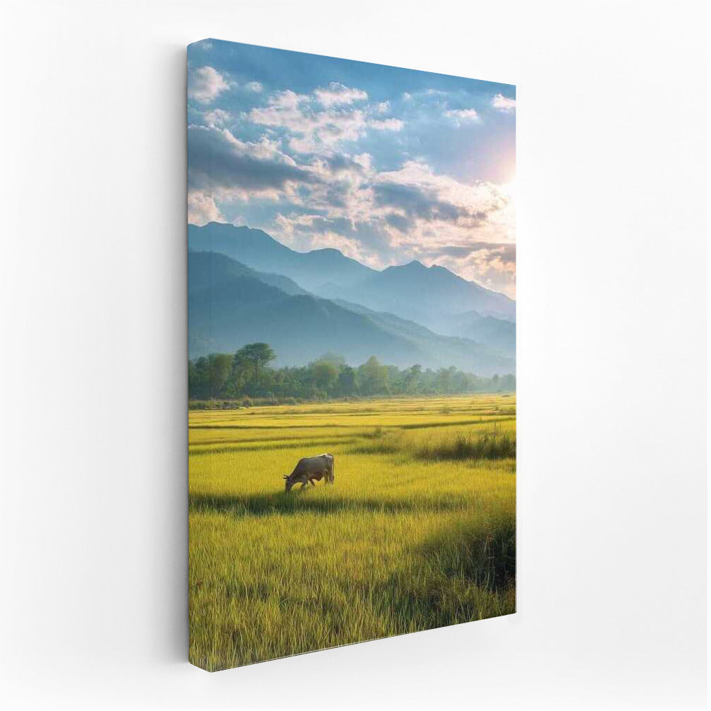 Harmony of nature: field, mountains and sky for peace at home