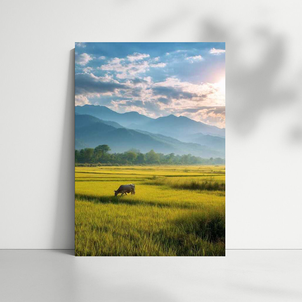 Harmony of nature: field, mountains and sky for peace at home