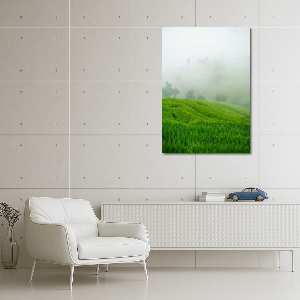 Misty Morning: Green Fields and Freshness