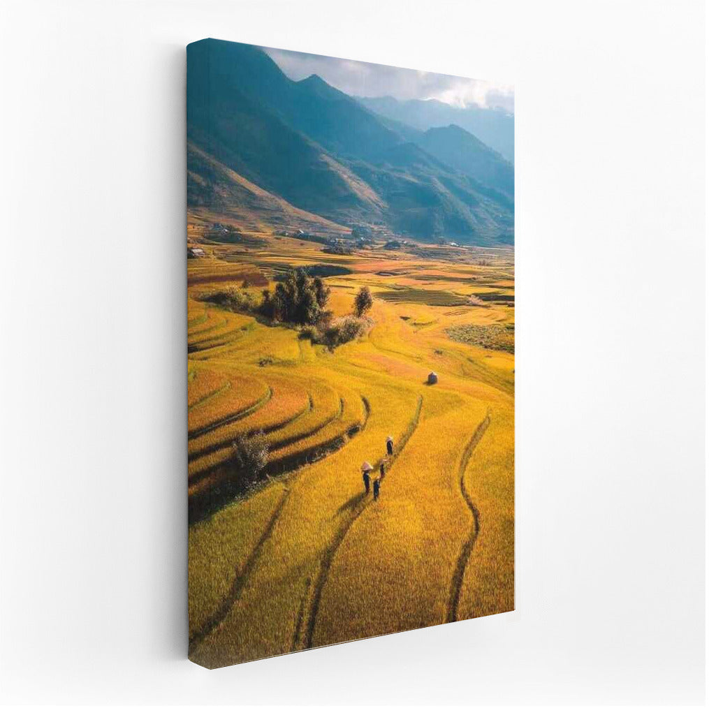 Golden Fields by the Mountains: Tranquility and Harmony of Nature