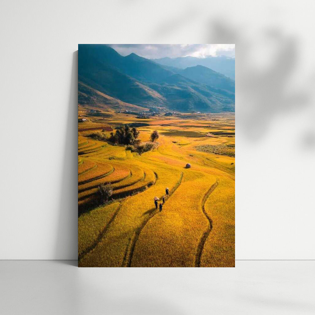 Golden Fields by the Mountains: Tranquility and Harmony of Nature